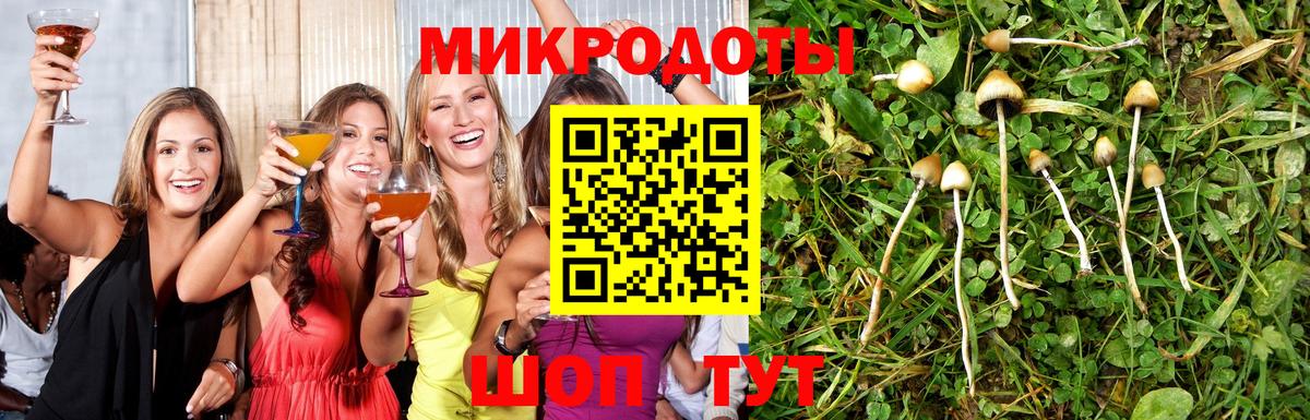Камышлов  Псилоцибиновые грибы мицелий  Вход с VPN  даркнет сайт  Галлюциногенные грибы Psilocybine cubensis 